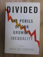 David Cay Johnston - Divided