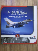 Anticariat: General Dynamics F-16A/B Netz