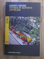 Gernot Bohme - Critique of aesthetic capitalism