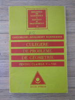 Gheorghe Adalbert Schneider - Culegere de probleme de geometrie pentru clasele V-VIII