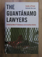 Mark P. Denbeaux - The Guantanamo lawyers