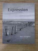 Paul Gallagher - Aspects of expression