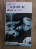 Amos Oz - Une panthere dans la cave