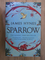 James Hynes - Sparrow