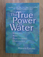 Masaru Emoto - The true power of water