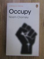 Noam Chomsky - Occupy