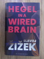 Slavoj Zizek - Hegel in a wired brain