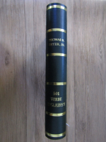 Thomas R. Beyer - 501 verbe englezesti