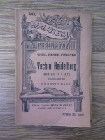 Wilhelm Meyer Forster - Vechiul Heidelberg