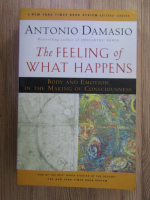 Antonio Damasio - The feeling of what happens