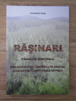 Constantin Popa - Rasinari. Padurile comunale. Implicatiile exploatarii lor asupra civilizatiei traditionale satesti