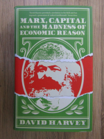 David Harvey - Marx, capital and the madness of economic reason