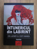 Ion Ladner, Costi Manea - Intunericul din labirint