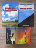 Josif Constantin Dragan - Prin Europa (3 volume)