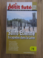 Petit Fute, edition 2006-2007. Saint-Etienne