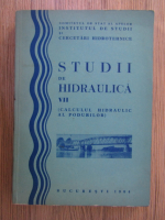 Anticariat: Studii si cercetari de hidraulica (volumul 7)