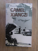 Anticariat: Lao She - Camel Xiangzi