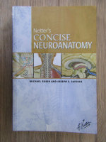 Michael Rubin - Netter's concise neuroanatomy