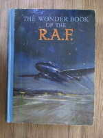 The wonder book of the R.A.F.