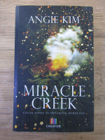 Angie Kim - Miracle Creek