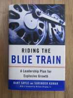 Bart Sayle, Surinder Kumar - Riding the blue train. A leadership plan for explosive growth