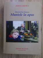 Anticariat: Doina Cernica - Maestrul Ion Irimescu. Muntele la apus