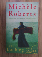 Michele Rober - The looking glass