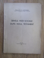 N. Nicolaescu - Sensul vietii sociale dupa Noul Testament