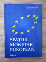 Roxana Daniela Paun - Spatiul monetar european