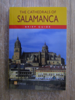 The cathedrals of Salamanca