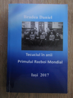 Bradea Daniel - Tecuciul in anii primului razboi mondial