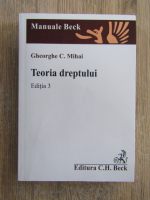 Anticariat: Gheorghe Mihai - Teoria dreptului (editia 3)