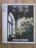 Neculai Paduraru - Etape 1971-1988. Desen, forma, culoare