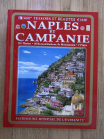 Tresors et beautes Naples et Campanie. 355 photos, 28 reconstitutions de monuments, 7 plans