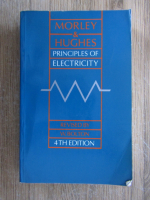 Arthur Morley - Principles of electricity