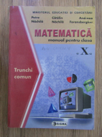 Matematica. Trunchi comun. Manual pentru clasa a X-a