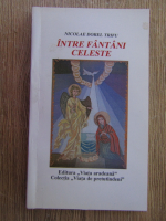 Nicolae Dorel Trifu - Intre fantani celeste