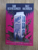 Sam Beckbessinger - Girls of little hope