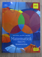 Anticariat: Stefan Smarandoiu - Matematica. Clasa a VI-a, semestrul al II- ea