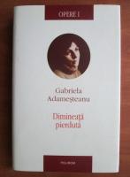 Anticariat: Gabriela Adamesteanu - Opere 1. Dimineata pierduta
