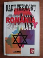 Radu Theodoru - Romania ca o prada