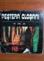 Vasile Decu - Pestera Closani