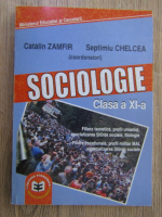 Anticariat: Catalin Zamfir - Sociologie, clasa a XI a