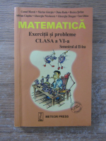 Cornel Moroti - Matematica. Exercitii si probleme clasa a VI a, semestrul al II lea