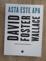 Anticariat: David Foster Wallace - Asta este apa