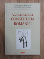 Gabriel Andreescu - Comentarii la Constitutia Romaniei