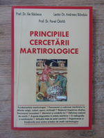 Ilie Badescu - Principiile cercetarii martirologice