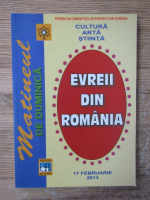 Anticariat: Matineul de duminica. Evreii din Romania