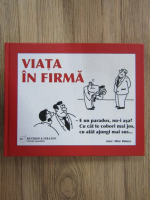 Mihai Balescu - Viata in firma