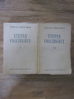 Anticariat: Vasili Grossman - Stepan Colciughin (2 volume)